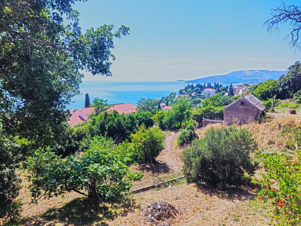Dubrovnik Moonshine Apartment Mlini Exteriör bild
