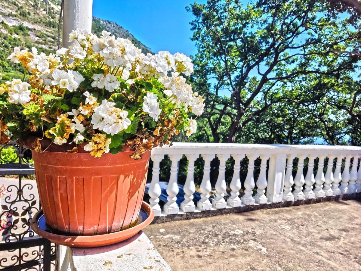 Dubrovnik Moonshine Apartment Mlini Exteriör bild