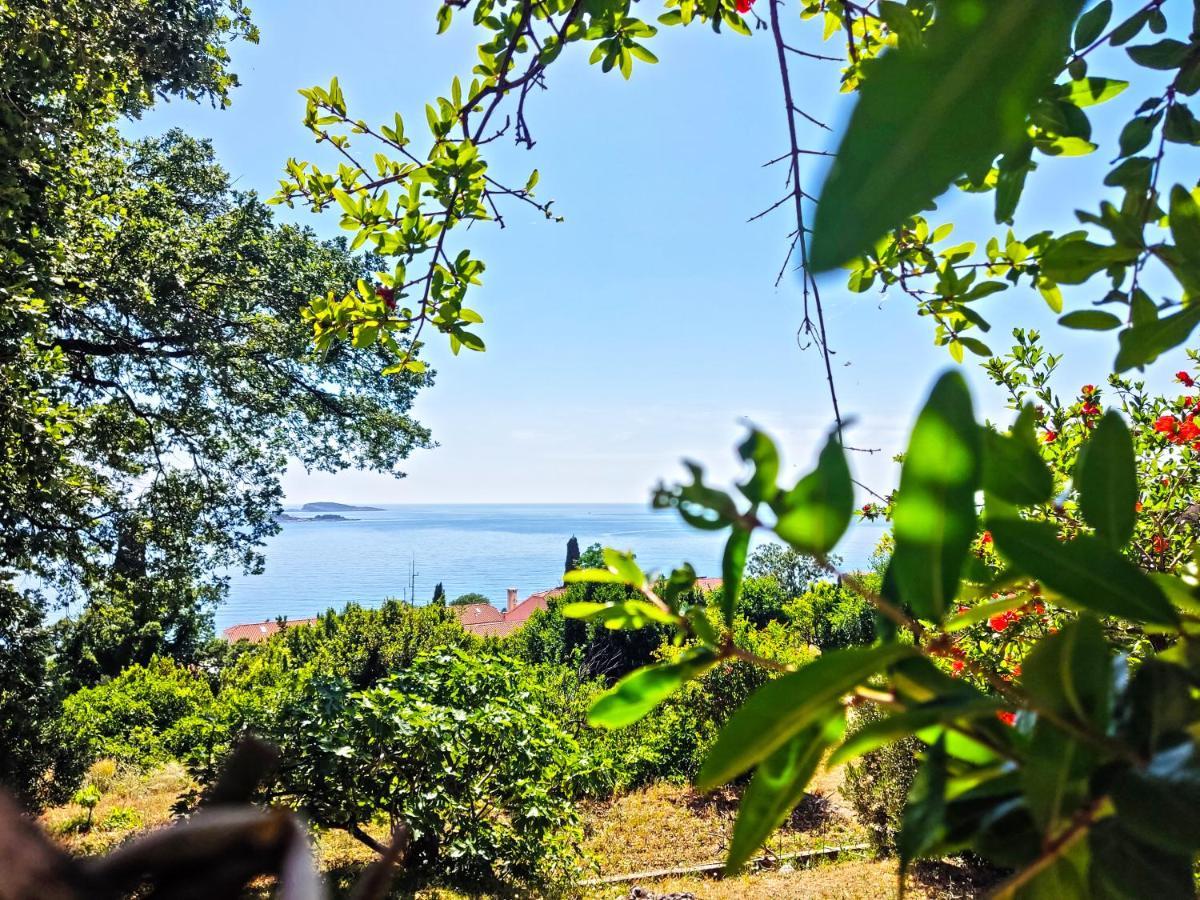 Dubrovnik Moonshine Apartment Mlini Exteriör bild